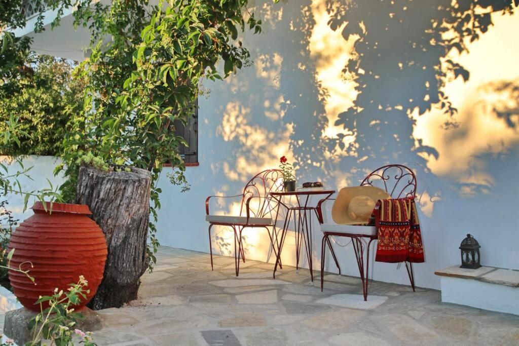 Παναής & Μαρία / Panais & Maria Villa สโกเปลอสทาวน์ ภายนอก รูปภาพ