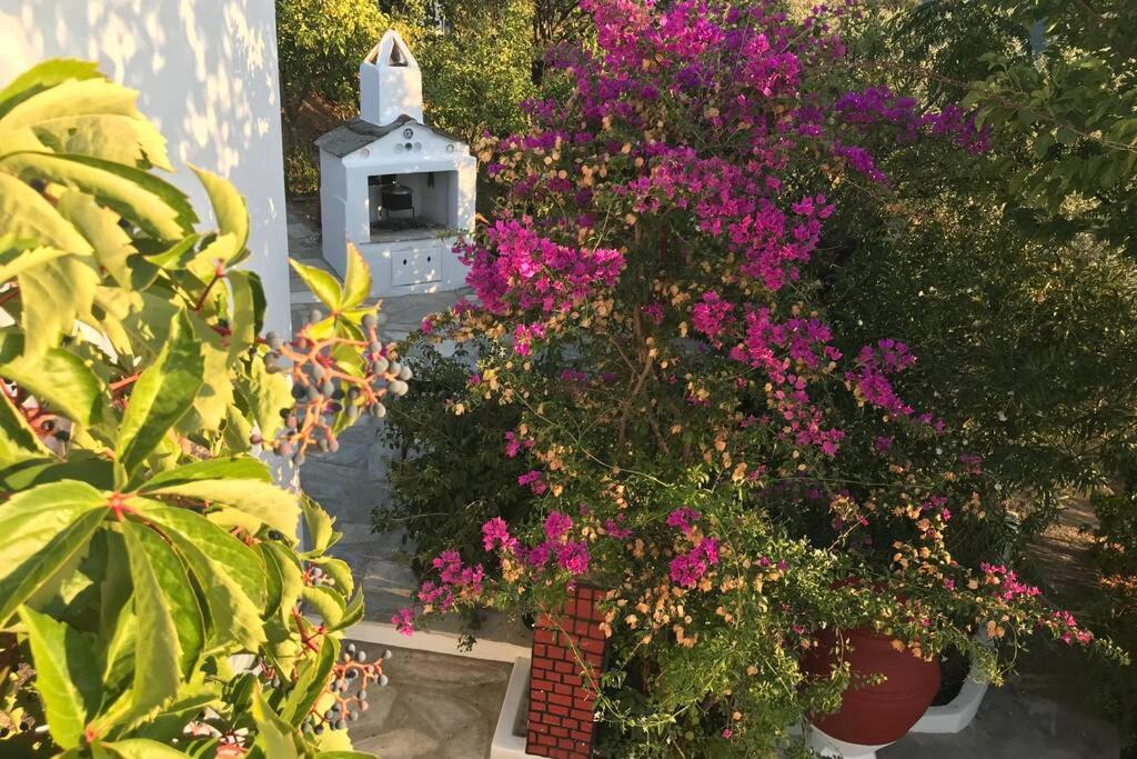 Παναής & Μαρία / Panais & Maria Villa สโกเปลอสทาวน์ ภายนอก รูปภาพ