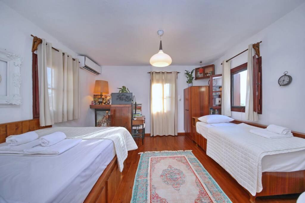 Παναής & Μαρία / Panais & Maria Villa สโกเปลอสทาวน์ ภายนอก รูปภาพ